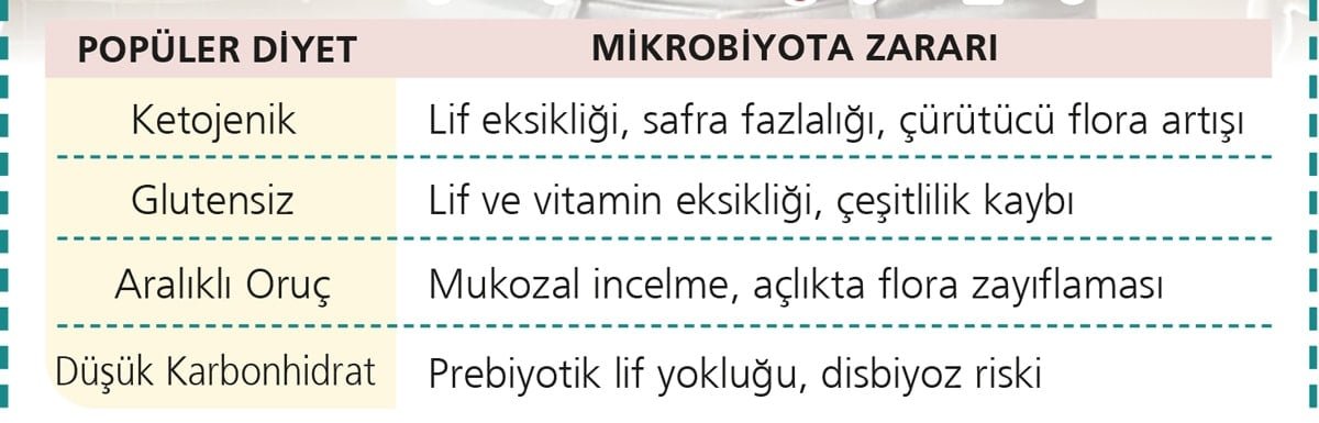 Diyetler bağırsak florasını nasıl mahvediyor?