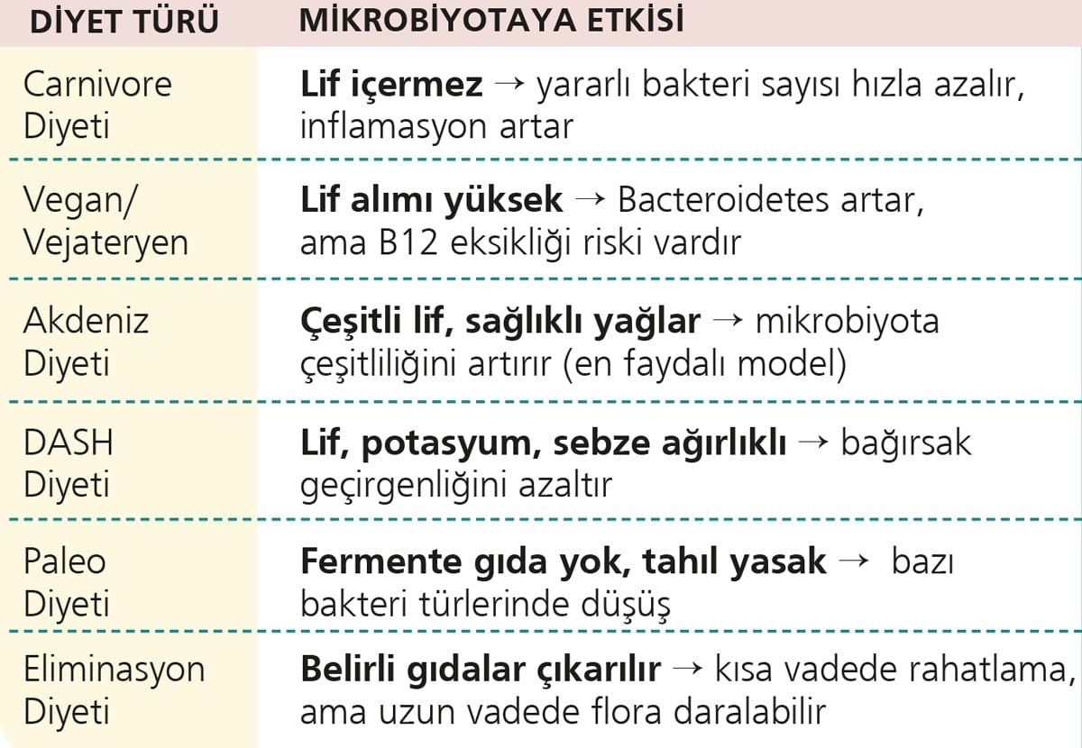 Diyetler bağırsak florasını nasıl mahvediyor?