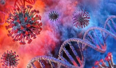 Dünya alarm durumuna geçti! Chikungunya virüsü nedir?