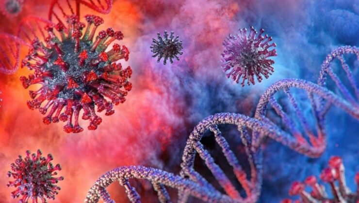 Dünya alarm durumuna geçti! Chikungunya virüsü nedir?