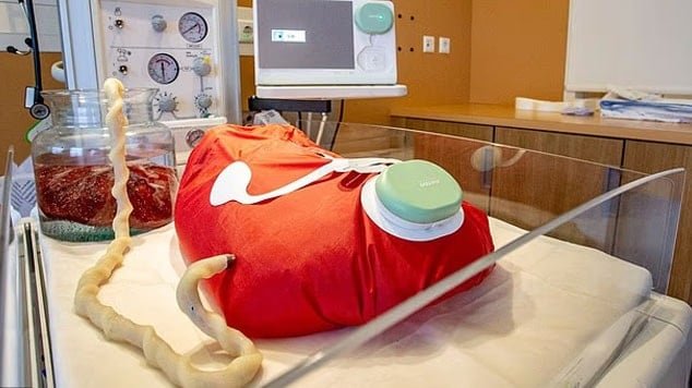 Dünyanın ilk 'hamile robotu' geliyor