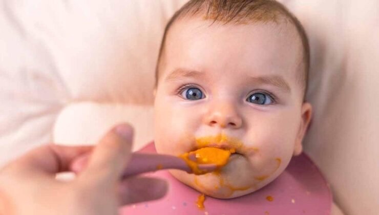 Etobur Bebek Akımı: Tehlike Çanları ve Denizlemeden Profisyonel Uyarılar