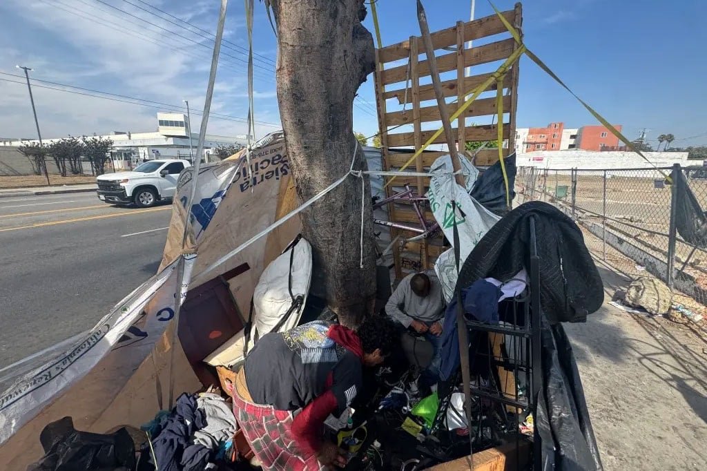 Evsiz adam şehrin göbeğine ev dikti: Evsizlerin villası