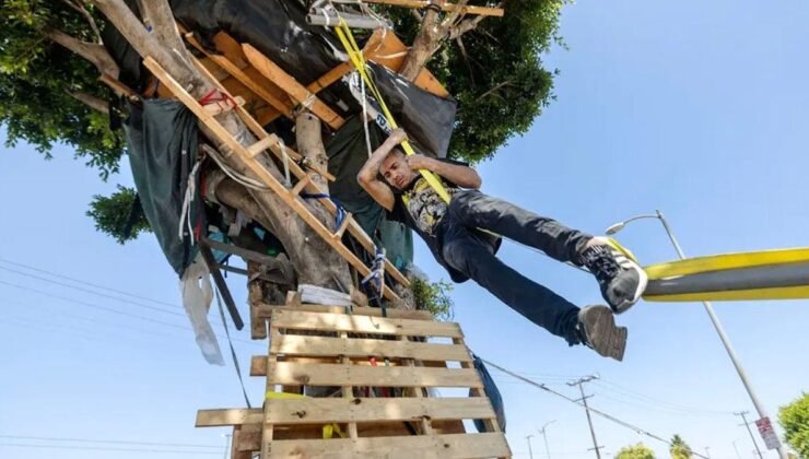 Evsiz adam şehrin göbeğine ev dikti: Evsizlerin villası