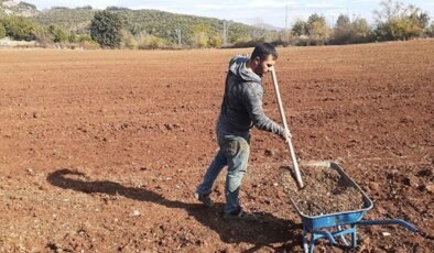 Gübre Fiyatlarında Artış ve Çalışan Grevi: Piyasada Yeni Dengeler