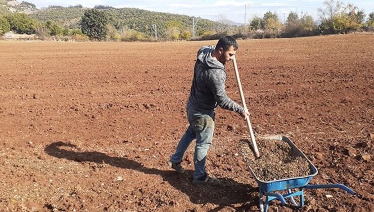 Gübre Fiyatlarında Artış ve Çalışan Grevi: Piyasada Yeni Dengeler