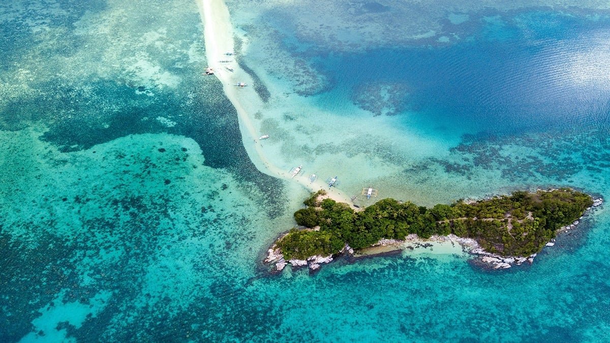 Zehrin Gücü ve Tehlikesi