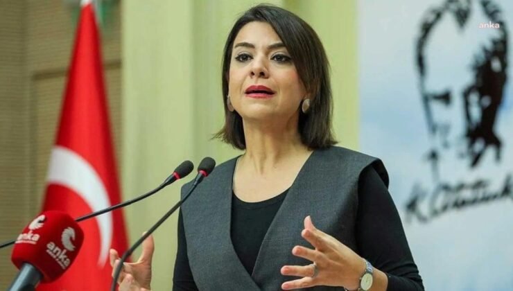 İşsizlik Ödeneği ve Kaynak Transferlerine Dair Kamu ve Patron Odaklı Eleştiri