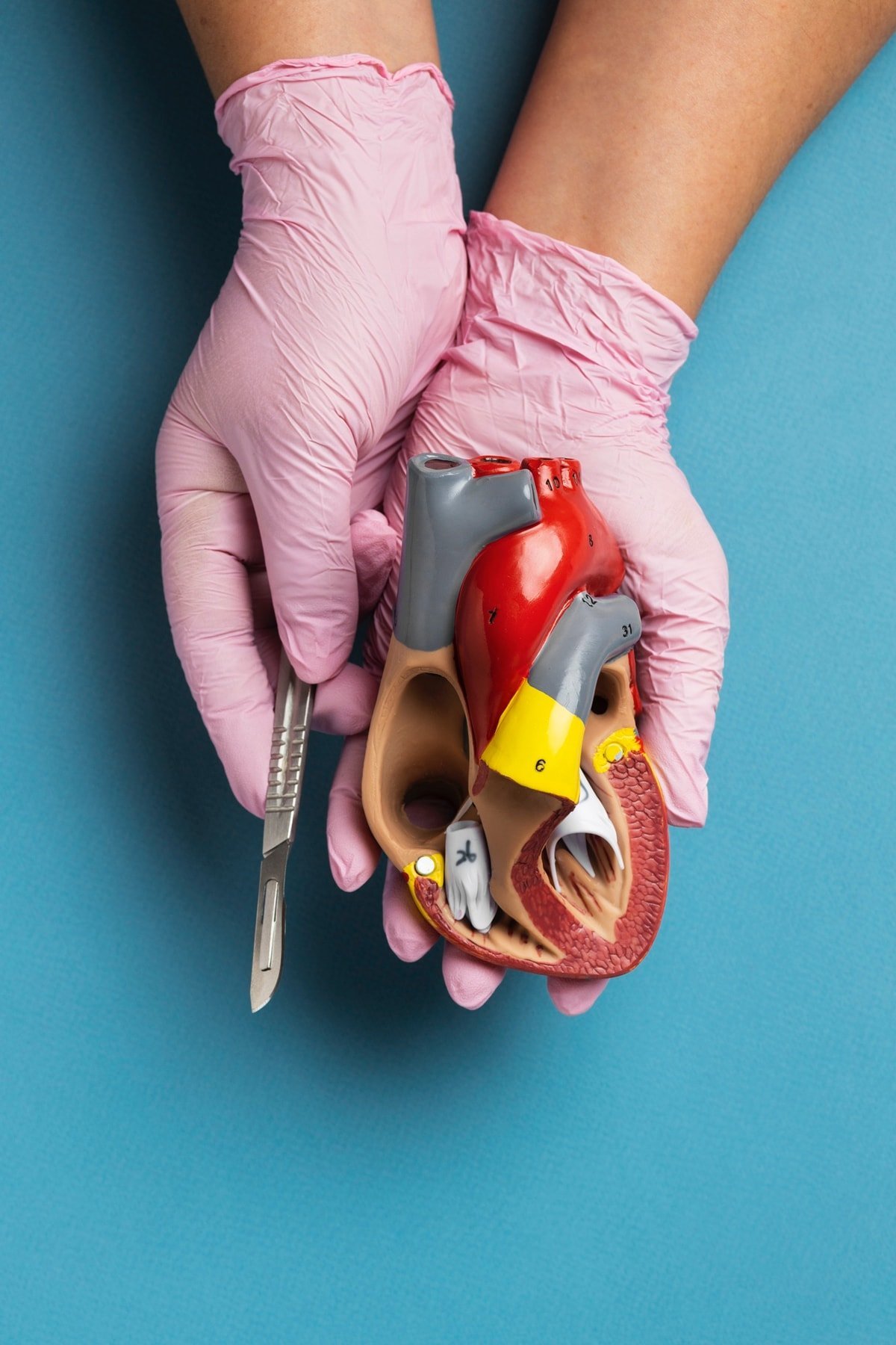 Kan Sulandırıcılar: İşlevleri, Kullanım Prensipleri ve Güncel Yaklaşımlar