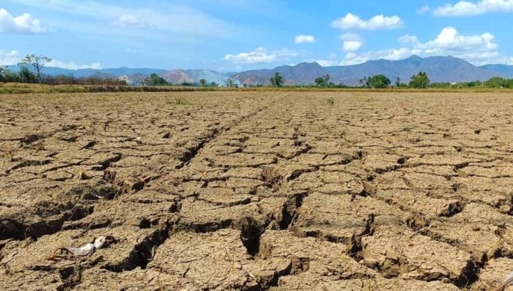Kuraklığa karşı beklenmedik tavsiye: e postalarınızı silin…