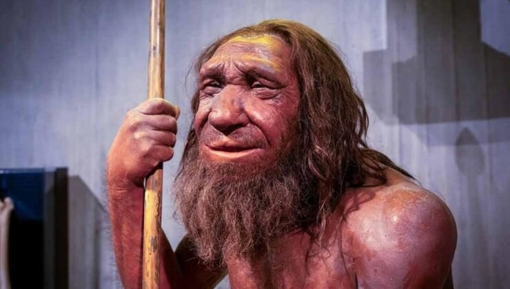 Neandertaller’in avladıkları devasa hayvanları bilinçli olarak çürümeye bırakmalarının nedeni nihayet ortaya çıktı