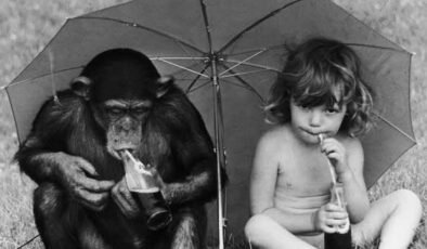 Oğluyla maymunu birlikte büyüttü: Hayatı asla eskisi gibi olmadı