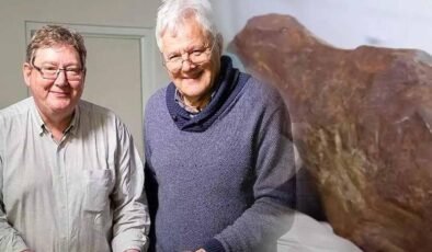 Parkta buldu, yıllarca içinde altın var sanıp kırmaya çalıştı, gerçeği öğrenince nutku tutuldu: Bu, altından bile değerli!