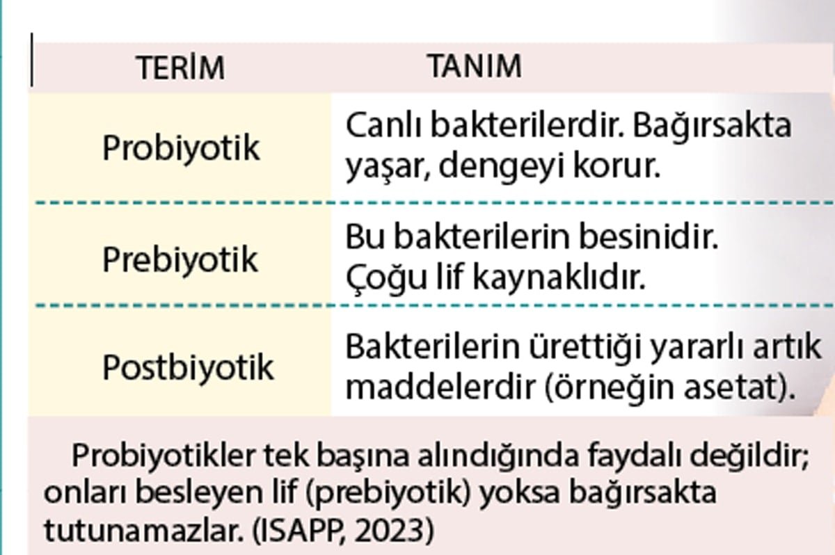 Probiyotik mi, prebiyotik mi, postbiyotik mi? Hangisi ne işe yarar?