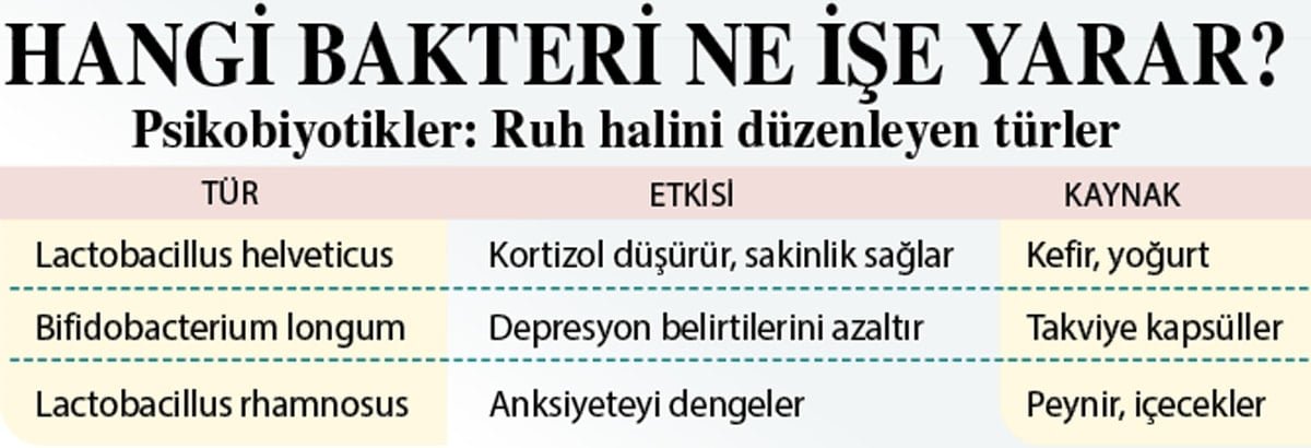 Probiyotik mi, prebiyotik mi, postbiyotik mi? Hangisi ne işe yarar?