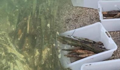 Sava Nehri’nde Demir Çağı’na Ait Külçeler: Bosna-Hersek’te Yeniden Yazılan Tarih