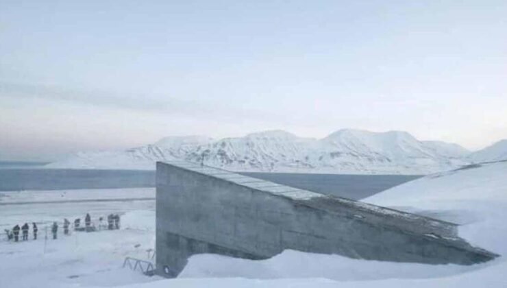Svalbard ve Patagonya’daki Buzulla İstikrarsızlığı: 2024 Yılı Isınmasının Küresel Sonuçları