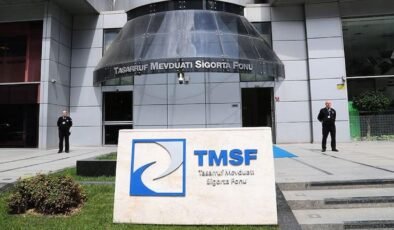 TMSF Yönetimindeki Varlıkların Satış İlanları: Aydınlı Giyim Grubu ve Diğer Varlıklar