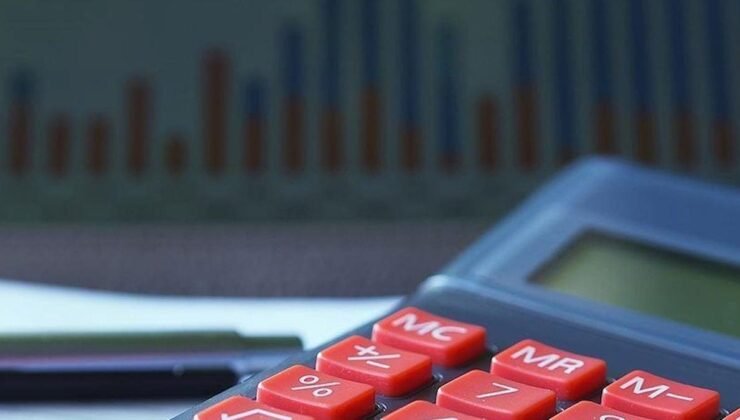 TÜİK: Yurt Dışı Üretici Fiyat Endeksi temmuzda yıllık yüzde 30,06 arttı