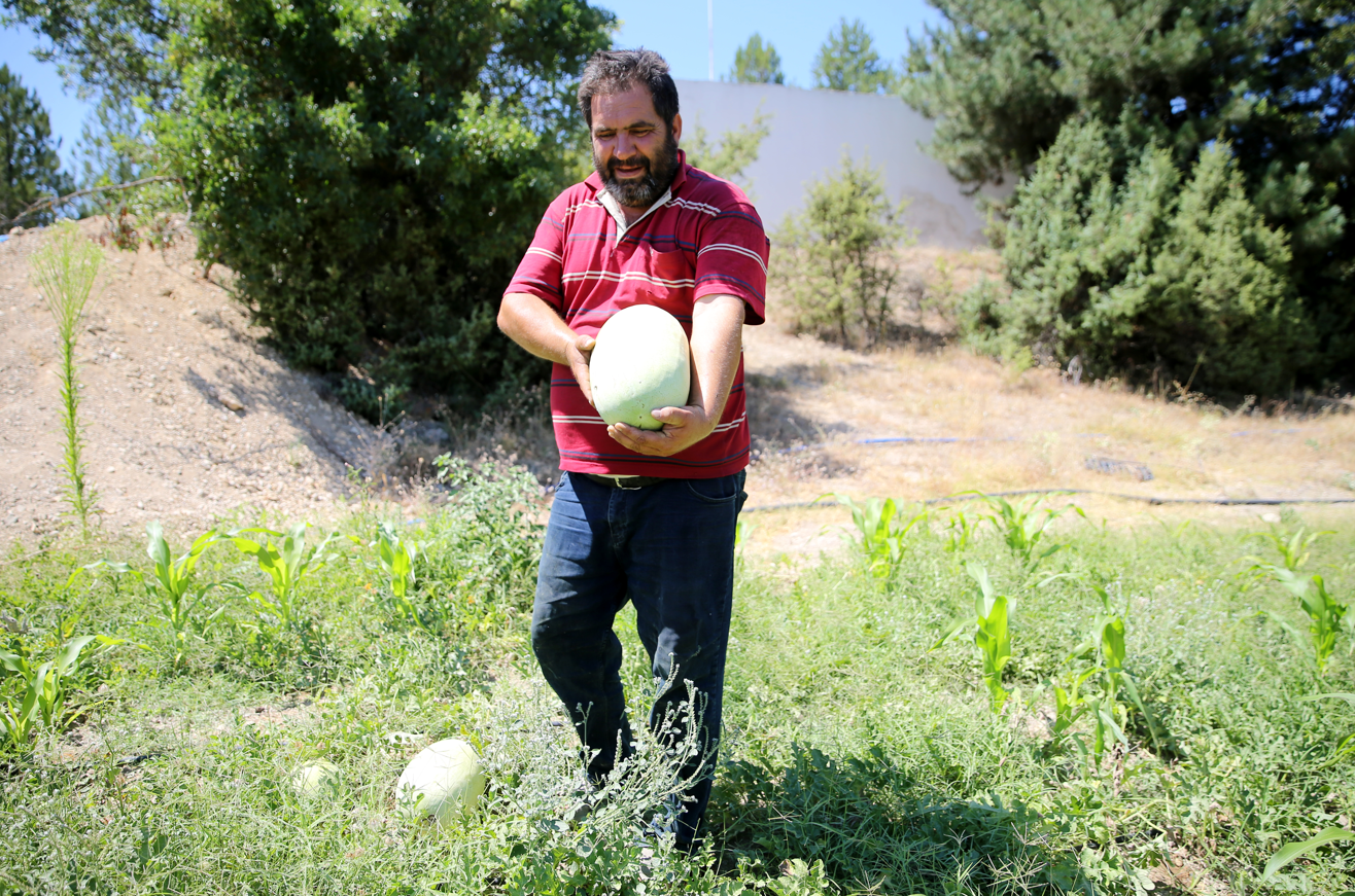 Yakınlarını kanserden kaybetti, organik tarıma yöneldi