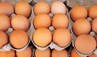 Yumurtanın Güvenli Tüketimi: Üretimden Tıbbı Tavsiyelere Kadar