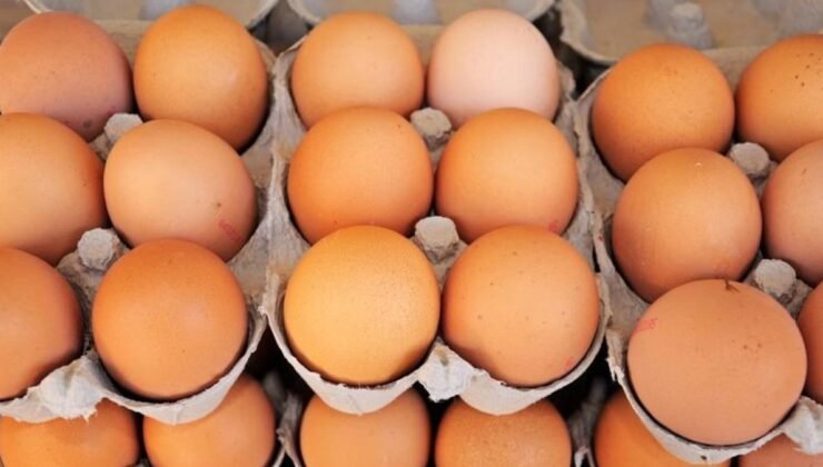 Yumurtanın Güvenli Tüketimi: Üretimden Tıbbı Tavsiyelere Kadar