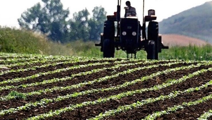 2025-2027 Bitkisel Üretime Yönelik Destekler ve 2026 Tarımsal Destek Değişiklikleri