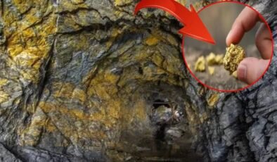 ABD Altın Üretiminde Yoğunlaşan Bölgeler ve Küresel Pozisyonlar