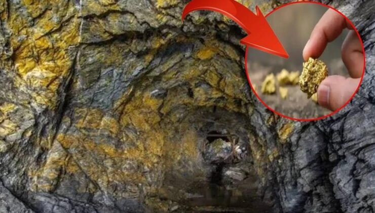 ABD Altın Üretiminde Yoğunlaşan Bölgeler ve Küresel Pozisyonlar