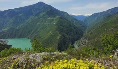 Akılcı Antibiyotik Kullanımı ve Artvin’in Sağlıkta Öncü Adımları