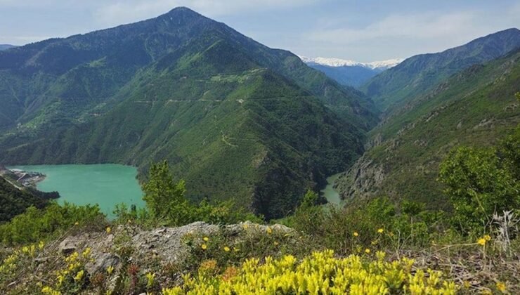 Akılcı Antibiyotik Kullanımı ve Artvin’in Sağlıkta Öncü Adımları