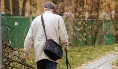 Almanya’da 55+ Çalışanlar: 2024 Verileri ve Sektörel Eğilimler