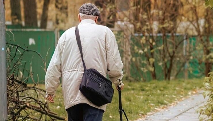 Almanya’da 55+ Çalışanlar: 2024 Verileri ve Sektörel Eğilimler