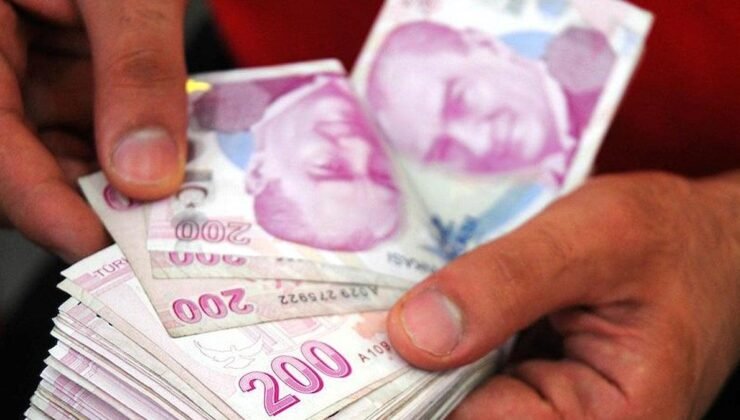 Bahçesaray Kadın Kooperatifi’nin Arıcılık Yolculuğu: 100 Kovandan 300 Kara Kovana Doğru