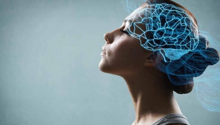 Beyin Haritası ve Mesafe Hissi: Izgara Hücrelerinin Sıradışı Rolü