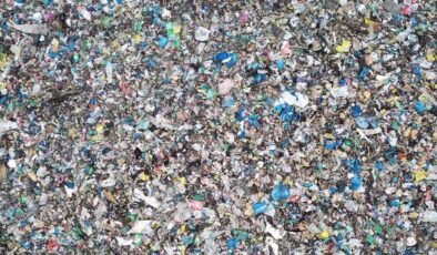 Görünmez Düşman: Mikroplastikler ve Kanojenik Etkileri İçin Yeni Bulgular