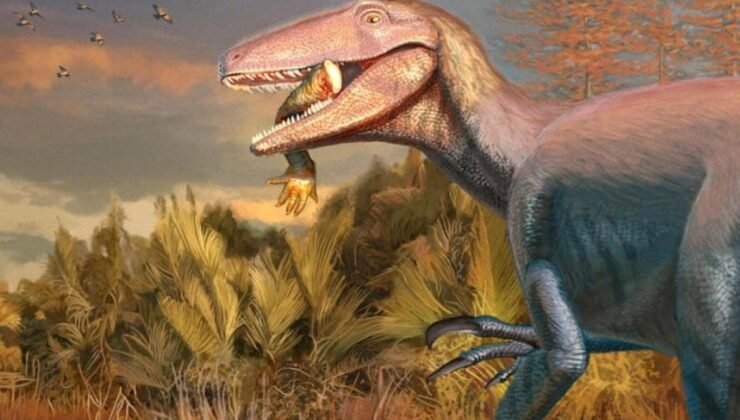Joaquinraptor: Patagonya’dan Yeni Megaraptor Bulgusu ve Evrimsel İzler