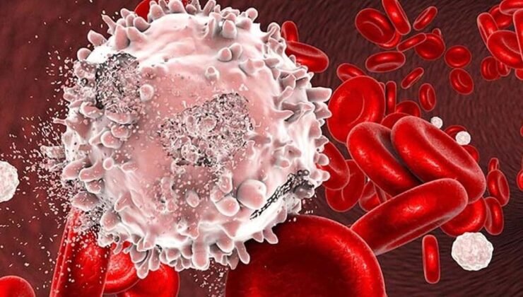 Kıbrıs Kongresinde CAR-T ve Hücresel Tedavilerde Güvenlik, Kalite ve Erişimin İzleri