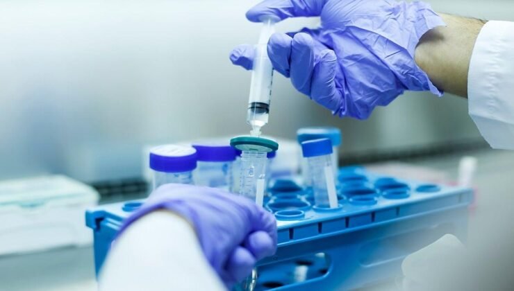 Küresel Kanser Öngörüleri (1990-2050): Düşük Gelirli Ülkelerin Artan Yükü ve Önleme Fırsatları