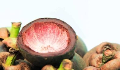 Mangosten: Kraliçe Meyvenin Gizli Zenginlikleri ve Sağlık Potansiyeli