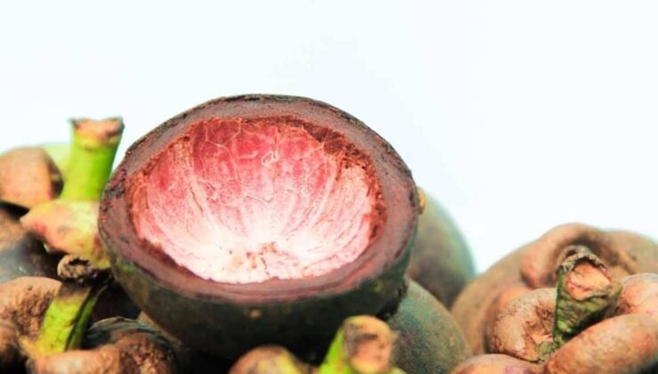 Mangosten: Kraliçe Meyvenin Gizli Zenginlikleri ve Sağlık Potansiyeli