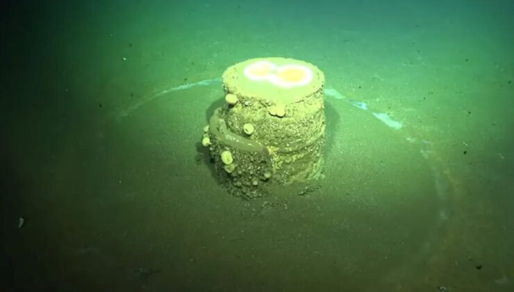 Okordon İçindeki Fıçıların Gizemi: Alkali Kalıntılar ve Beyaz Halkaların Ardındaki Gerçekler