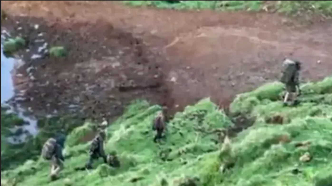 Ormanda 4 Yıllık Kaçışın Ardından Gelen Gerçekler: Jayda ve Kardeşlerinin Hikayesi