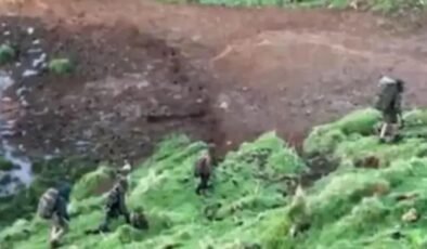 Ormanda 4 Yıllık Kaçışın Ardından Gelen Gerçekler: Jayda ve Kardeşlerinin Hikayesi