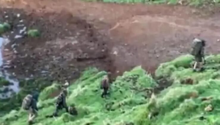 Ormanda 4 Yıllık Kaçışın Ardından Gelen Gerçekler: Jayda ve Kardeşlerinin Hikayesi