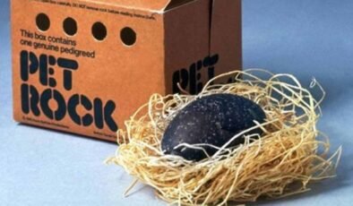 Pet Rock’in Sıradışı Başlangıcı ve Sönmeyen Yankıları