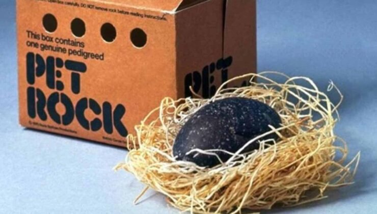 Pet Rock’in Sıradışı Başlangıcı ve Sönmeyen Yankıları