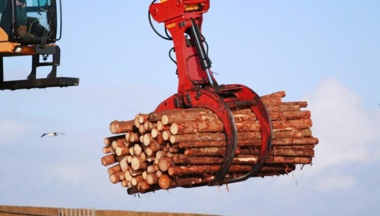 Polen Kabuğunun Dönüştürücü Yolculuğu: Yapışkan Mikrojelden Akıllı Yaşama