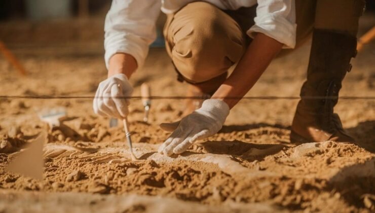 Santa Lucía Havalimanı Kazılarının Evrimsel İzleri: Kolombiyen Mamutlarının Gizemli Yolculuğu