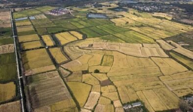 Tasarruf Finansmanı Sözleşmesinde Tüketici Kavramının Yeniden Belirlenmesi: Mahkeme Kararı ve Yargıtay Değerlendirmesi